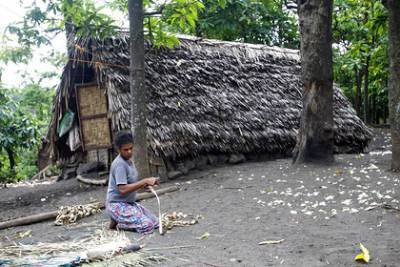 Найден идеальный дом для выживания в стихийных бедствиях - lenta.ru - Вануату