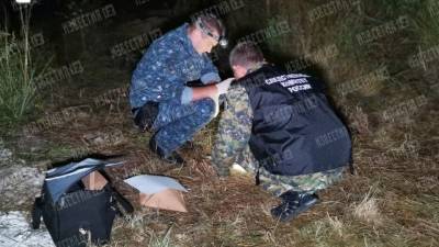 Предполагаемый убийца девочки под Тулой просил ее отца о прощении: «Я не хотел!» - 5-tv.ru - Тула - Тульская обл.