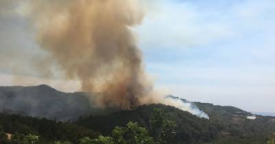 Бекир Пакдемирли - Почти все лесные пожары в Турции взяли под контроль - dsnews.ua - Украина - Турция
