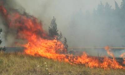 В Якутии объявили режим ЧС. Лесные пожары угрожают населенным пунктам - og.ru - респ. Саха - район Горный