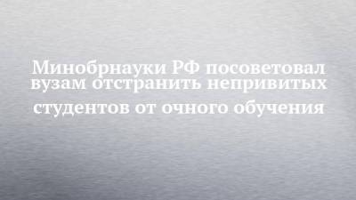Минобрнауки РФ посоветовал вузам отстранить непривитых студентов от очного обучения - chelny-izvest.ru - Россия