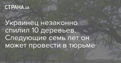 Владимир Зеленский - Украинец незаконно спилил 10 деревьев. Следующие семь лет он может провести в тюрьме - strana.ua - Украина - Киев