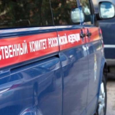 Елена Марковская - У поставщиков продуктов провели обыски после отравления детей в поезде - radiomayak.ru - Мурманск - Мурманская обл. - Адлер