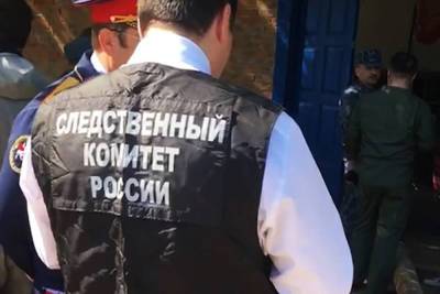 СК завел дело против соцзащиты после случая с выброшенным в окно ребенком - tvc.ru - Москва