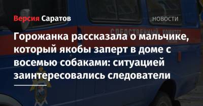 Горожанка рассказала о мальчике, который якобы заперт в доме с восемью собаками: ситуацией заинтересовались следователи - nversia.ru - Саратовская обл.