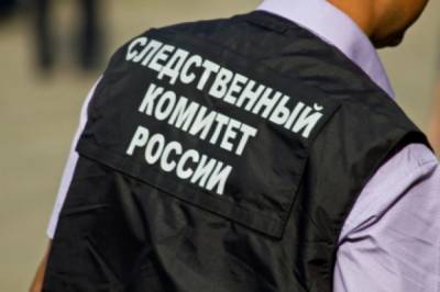 У поставщиков продуктов прошли обыски после отравления детей в поезде - aif.ru - Россия - Мурманск - Адлер
