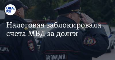 Налоговая заблокировала счета МВД за долги - ura.news - Россия