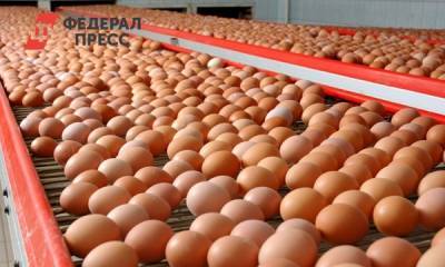 На Среднем Урале начался аукцион по продаже Рефтинской птицефабрики - fedpress.ru - Екатеринбург - Свердловская обл.