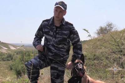 Ирина Волк - В Белгородской области служебная собака помогла полиции спасти пропавшую без вести пенсионерку - versia.ru - Россия - Белгородская обл. - Белгород - район Красногвардейский