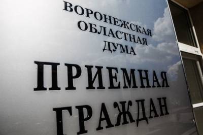 Владимир Нетесов - В Воронежской облдуме подвели итоги работы с обращениями граждан во втором квартале - infox.ru - Россия - Воронеж