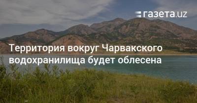 Территория вокруг Чарвакского водохранилища будет облесена - gazeta.uz - Узбекистан