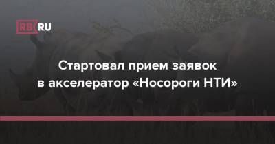 Стартовал прием заявок в акселератор «Носороги НТИ» - rb.ru - Пермский край