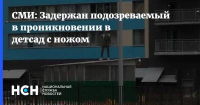 СМИ: Задержан подозреваемый в проникновении в детсад с ножом - nsn.fm - Ленинградская обл. - р-н Всеволожский