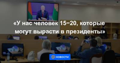 Александр Лукашенко - «У нас человек 15−20, которые могут вырасти в президенты» - news.mail.ru - Россия - Украина - Белоруссия - Литва - Минск