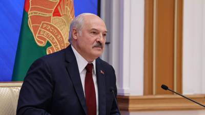 Александр Лукашенко - Лукашенко прокомментировал ситуацию с нелегальными мигрантами - russian.rt.com - Белоруссия