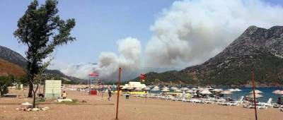 Бекир Пакдемирли - В Турции потушены или взяты под контроль почти все лесные пожары - runews24.ru - Турция