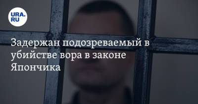 Задержан подозреваемый в убийстве вора в законе Япончика - ura.news - Москва - Россия - Апсны