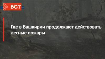 Где в Башкирии продолжают действовать лесные пожары - bash.news - Башкирия