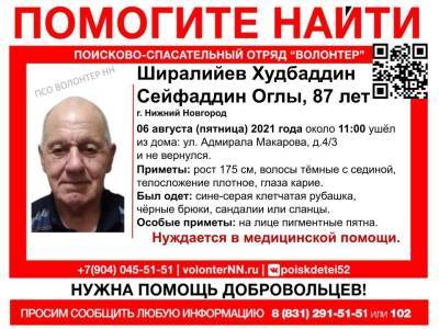 87-летний мужчина пропал в Нижнем Новгороде - vgoroden.ru - Нижний Новгород - район Канавинский