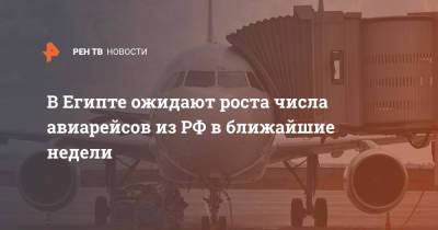 В Египте ожидают роста числа авиарейсов из РФ в ближайшие недели - ren.tv - Москва - Россия - Египет