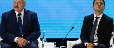 Владимир Зеленский - Александр Лукашенко - Зеленский ответил на «безосновательные» обвинения Лукашенко в подготовке боевиков - w-n.com.ua - Украина - Белоруссия