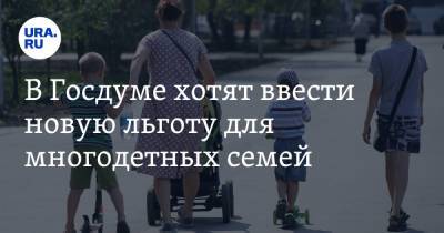 В Госдуме хотят ввести новую льготу для многодетных семей - ura.news - Москва - Россия