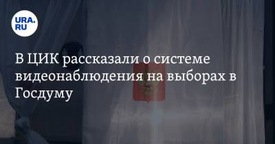 Максим Григорьев - Элла Памфилова - В ЦИК рассказали о системе видеонаблюдения на выборах в Госдуму - ura.news - Россия