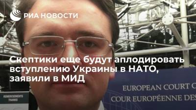 Александр Винников - Дмитрий Кулеба - Глава МИД Украины Кулеба: скептики еще будут аплодировать вступлению страны в НАТО - ria.ru - Украина - Киев - Вашингтон