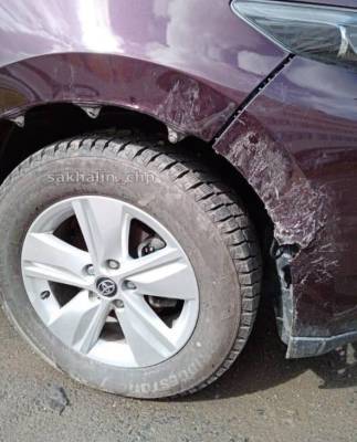 В Южно-Сахалинске ночью собака покусала автомобиль - sakhalin.info - Южно-Сахалинск