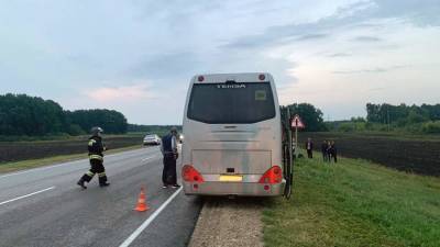 Двое детей и шестеро взрослых пострадали в ДТП под Тамбовом - iz.ru - Москва - Израиль - Астрахань - Тамбов - Тамбовская обл.
