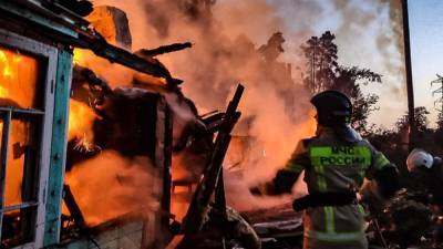 Вокруг Екатеринбурга горят сады. Есть информация о погибшем ребенке (ФОТО) - newdaynews.ru - Екатеринбург
