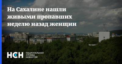 На Сахалине нашли живыми пропавших неделю назад женщин - nsn.fm - Россия - Сахалинская обл. - Сахалин