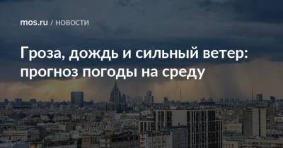Гроза, дождь и сильный ветер: прогноз погоды на среду - mos.ru - Москва