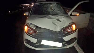 В Югре пешеход погиб под колесами автомобиля на трассе - newdaynews.ru - Сургут - Югра - Нижневартовск