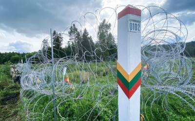 Агне Билотайте - На литовско-белорусской границе погиб пожарный - naviny.by - Белоруссия - Литва