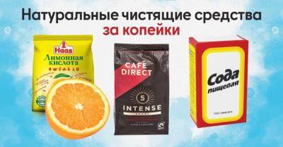 Столичная хозяйка показала, чем отмывает испачканный наглыми гостями дом - skuke.net - Экология