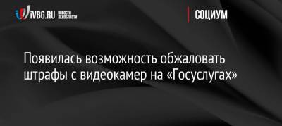 Появилась возможность обжаловать штрафы с видеокамер на «Госуслугах» - ivbg.ru - Россия - Украина