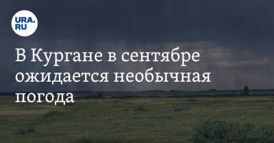 Илья Винштейн - В Кургане в сентябре ожидается необычная погода - ura.news - Курганская обл.