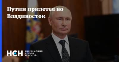 Владимир Путин - Дмитрий Песков - Путин прилетел во Владивосток - nsn.fm - Россия - Владивосток - окр. Дальневосточный