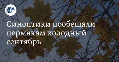 Синоптики пообещали пермякам холодный сентябрь - ura.news - Пермь - Пермский край