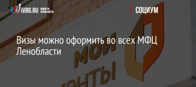 Визы можно оформить во всех МФЦ Ленобласти - ivbg.ru - Украина - Ленинградская обл. - Санкт-Петербург - Визы