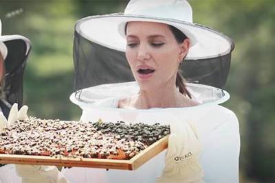 Анджелина Джоли - Angelina Jolie - Анджелина Джоли в костюме пасечника бесстрашно помогает спасать пчел в Провансе: видео - skuke.net - Россия - Новости