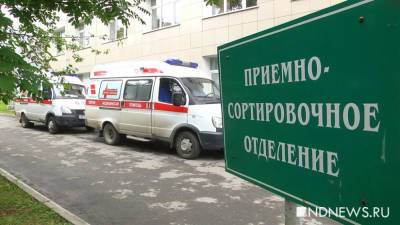 В России выявили еще 18,3 тыс. заболевших коронавирусом - newdaynews.ru - Москва - Россия - Санкт-Петербург - Московская обл.