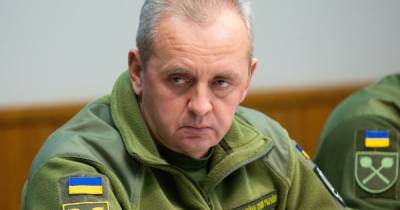 Виктор Муженко - Виктор Муженко - dsnews.ua - Украина - Житомирская обл.