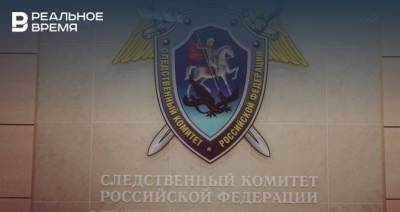 Андрей Шептицкий - В Татарстане раскрыли убийство 90-летней ветерана труда - realnoevremya.ru - респ. Татарстан