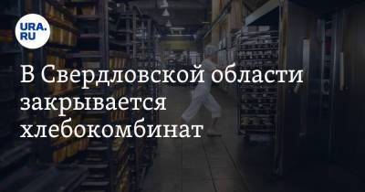 В Свердловской области закрывается хлебокомбинат. Он поставлял продукцию в детсады и школы - ura.news - Свердловская обл.