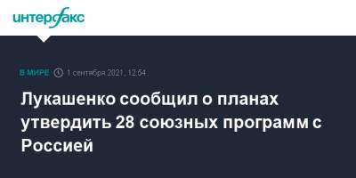 Владимир Путин - Александр Лукашенко - Лукашенко сообщил о планах утвердить 28 союзных программ с Россией - interfax.ru - Москва - Россия - Белоруссия