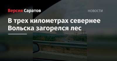 В трех километрах севернее Вольска загорелся лес - nversia.ru - Вольск