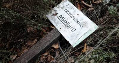 Жителей Луганска убедительно просят не посещать лесополосы и берег Северского Донца - cxid.info - Луганск