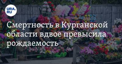 Смертность в Курганской области вдвое превысила рождаемость - ura.news - Курганская обл.